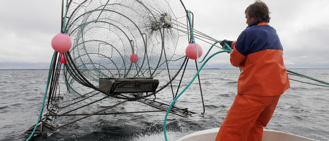 fisheries course